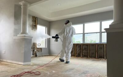 Mold Removal Tips for 2024