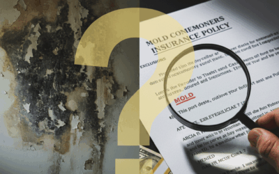 Mold Contamination and Your Homeowners Insurance