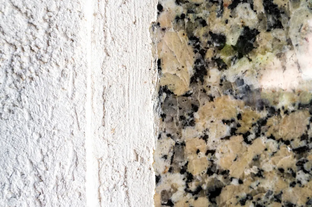 Mold Removal in las Vegas