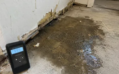 Home 1 Slab Leaks in Las Vegas: How to Spot Water Damage Under Your Foundation
