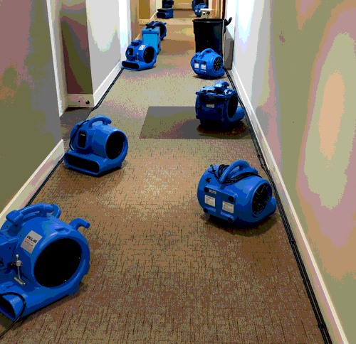 Slab Leaks in Las Vegas: How to Spot Water Damage Under Your Foundation 4 Air movers drying a hallway after a slab leak in a Las Vegas home