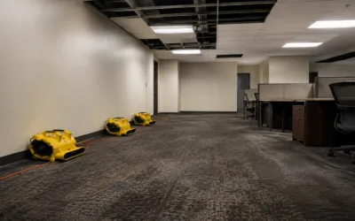 Home 49 Commercial Water Damage in Las Vegas: A Property Manager’s First 24 Hours